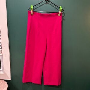 Zara Fuschia Trousers